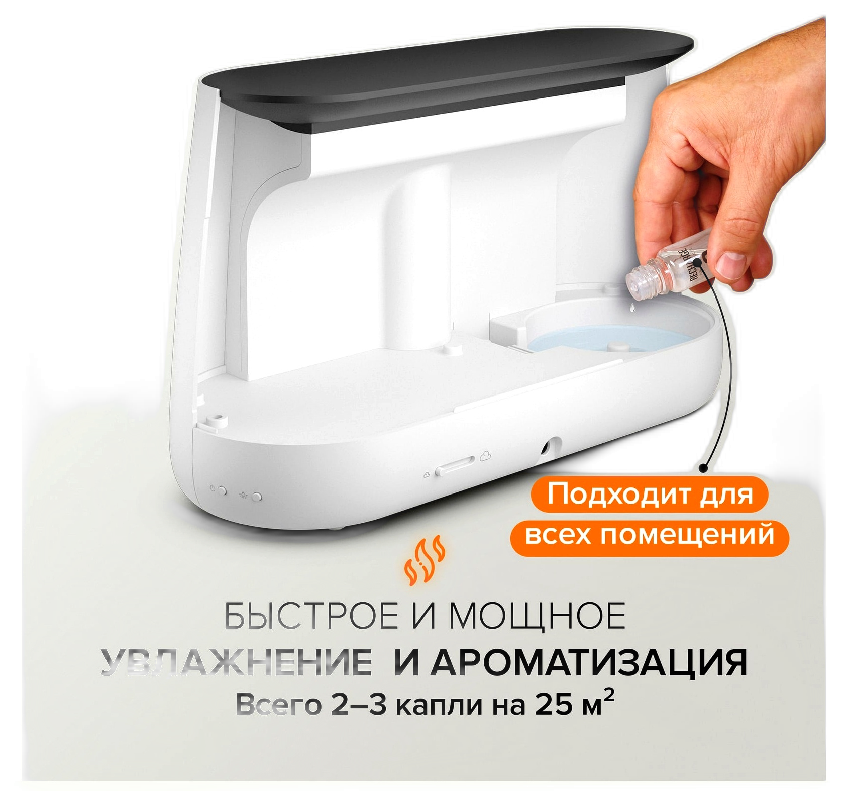 01-02_Stadler Form Ben_ _ .png