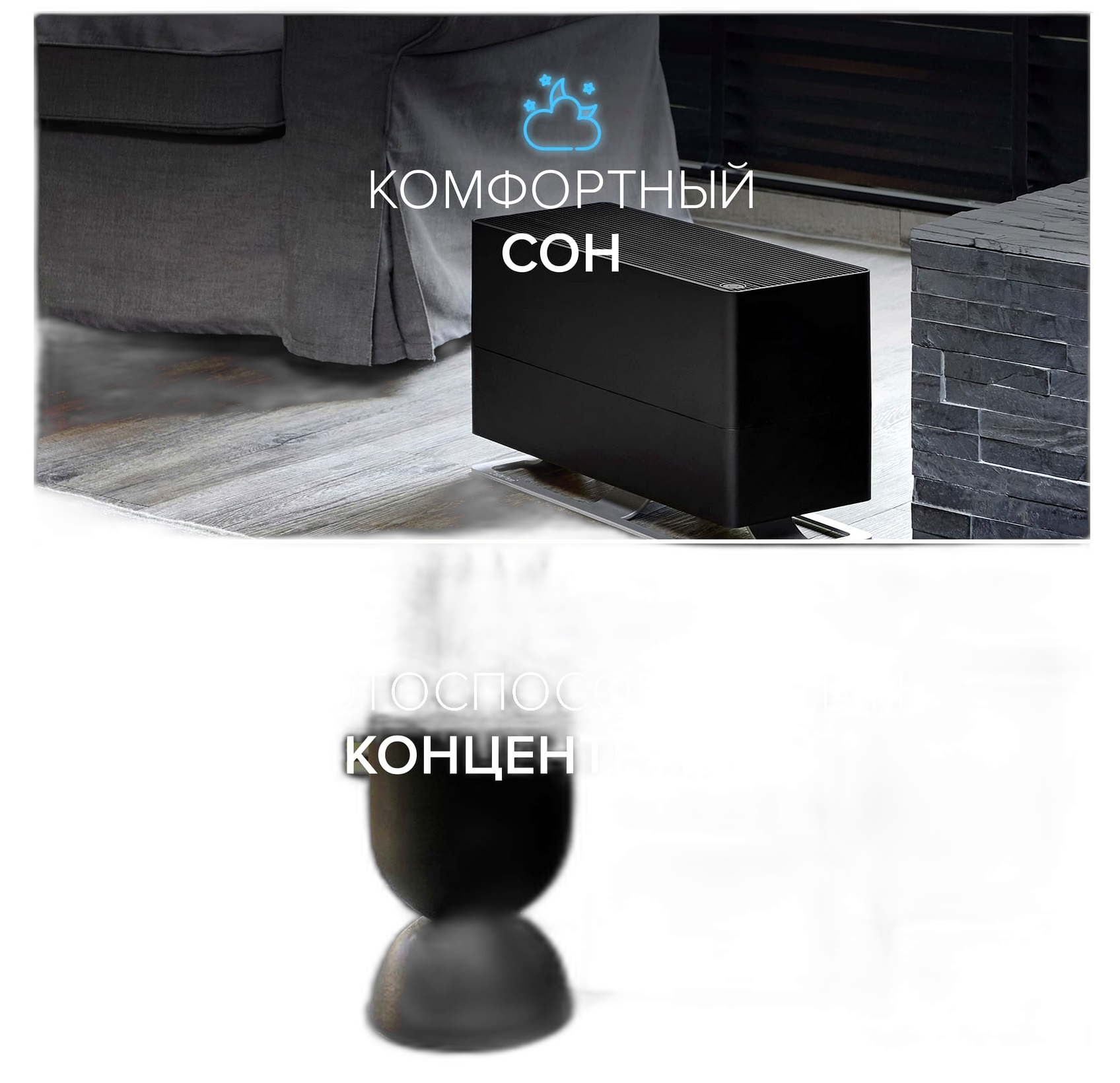 01-06_Stadler Form _ _ _ _.png