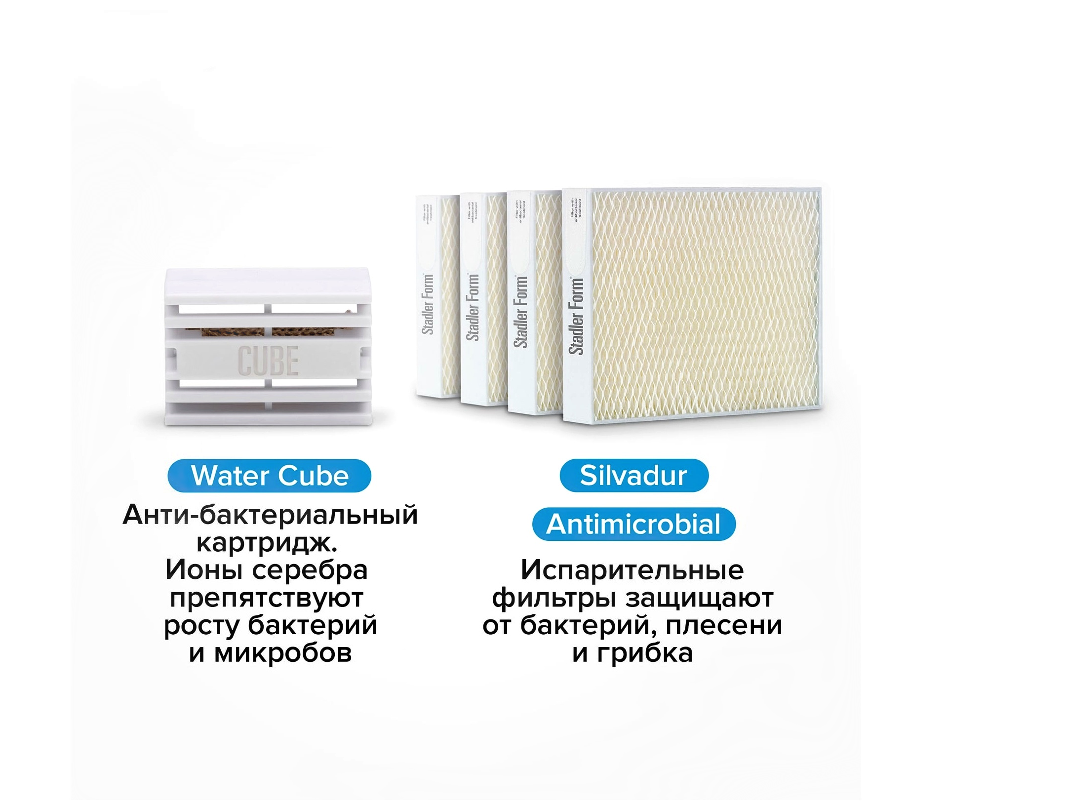 01-05_Stadler Form _ _ _ _.png