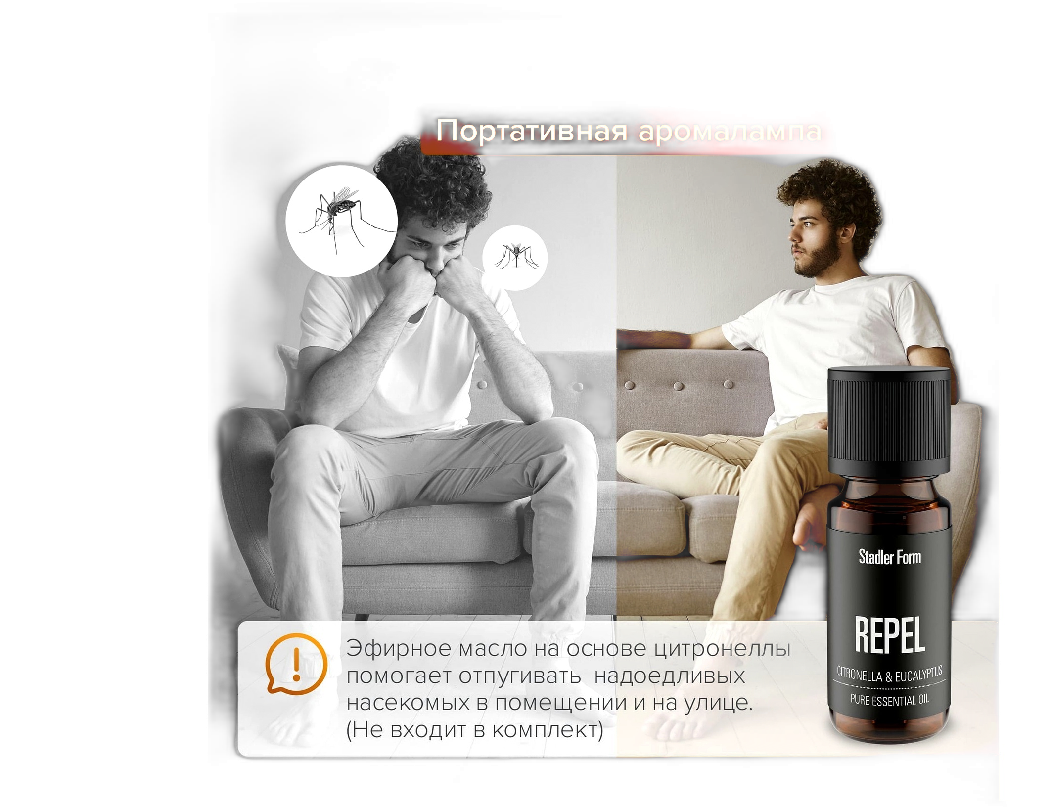 01-11_Stadler Form Nora ba.png