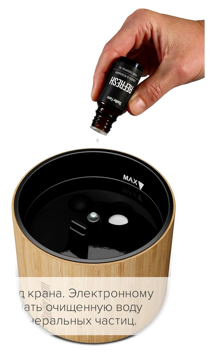 01-12_Stadler Form Nora ba.png