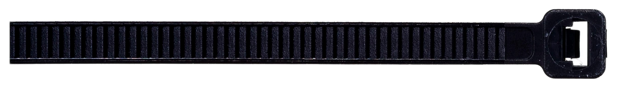 01-02_FORTISFLEX _ NORD 5x.png