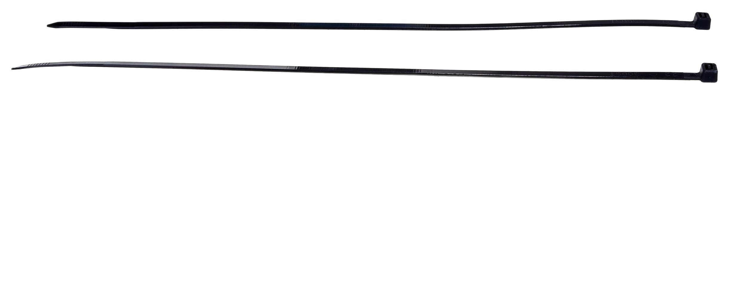 01-03_FORTISFLEX _ NORD 5x.png