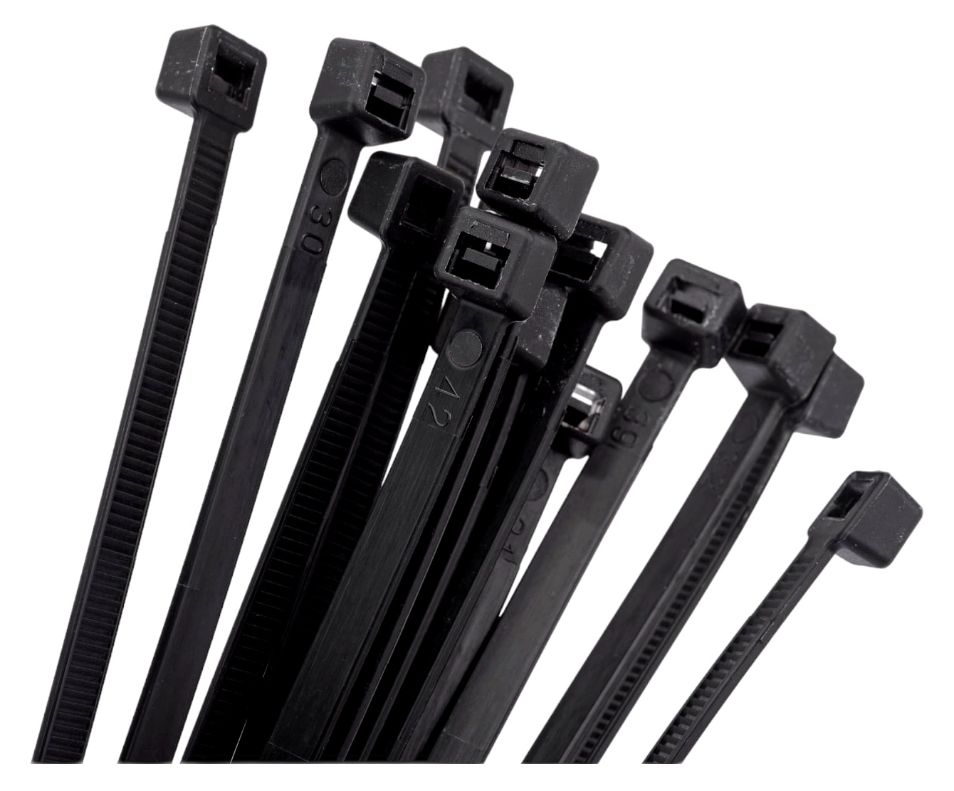 01-01_FORTISFLEX _ NORD 5_.png