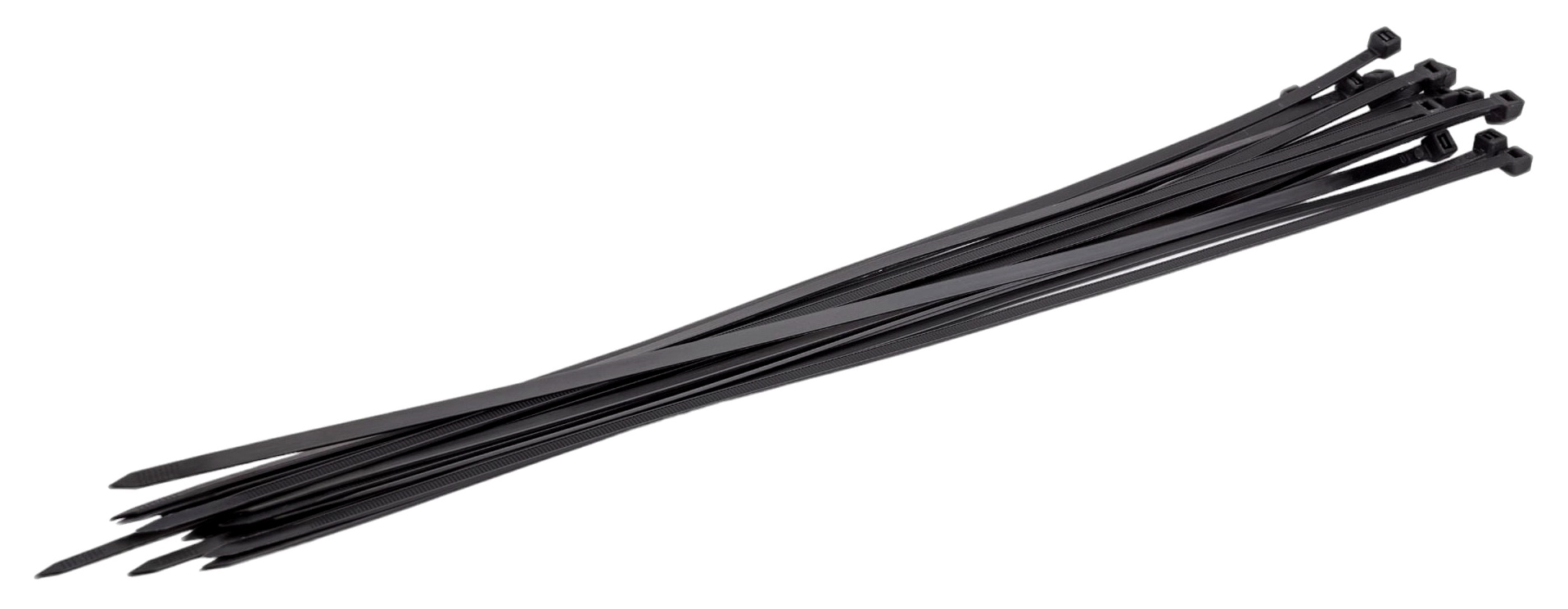 01-02_FORTISFLEX _ NORD 5_.png